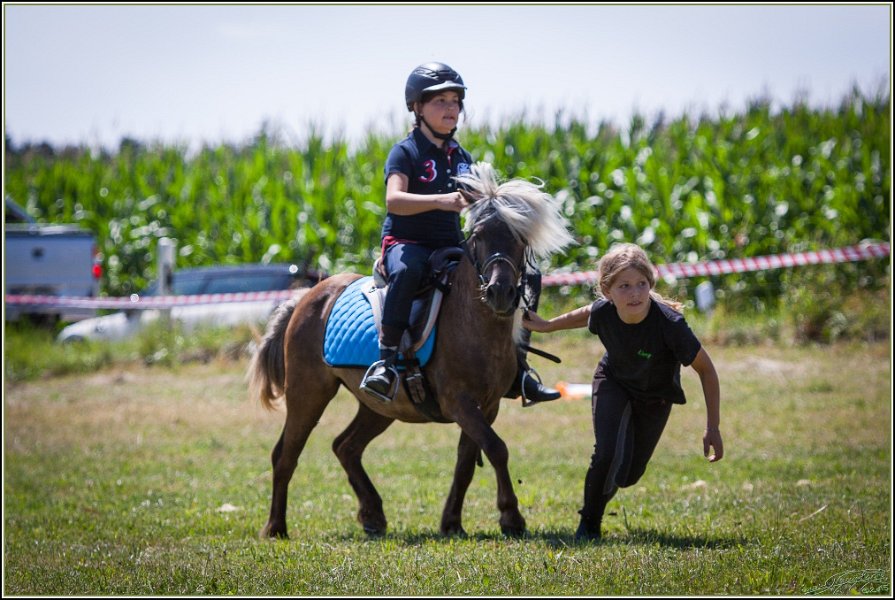 Mounted Games 238